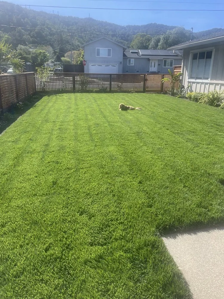 Top-rated yard cleanup service in Fairfield, CA - Rock Landscaping