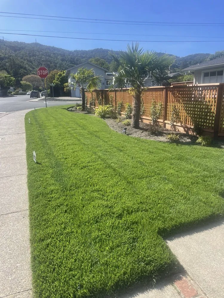 Top-rated landscape design in Fairfield, CA by Rock Landscaping