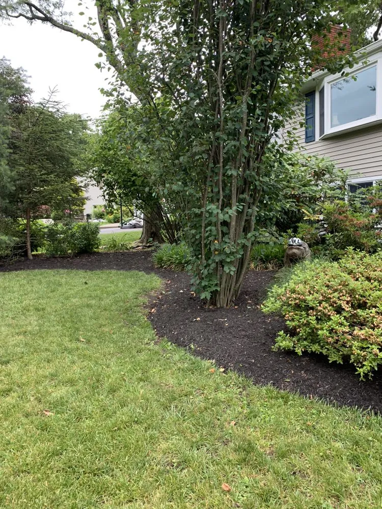 Top-rated yard cleanup service experts serving Glen Rock, NJ - Rock Landscaping