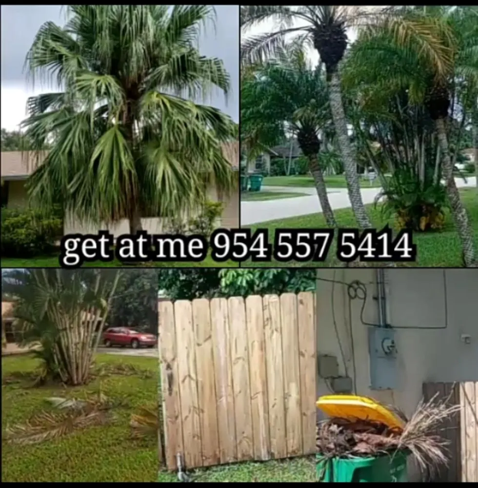 Custom yard maintenance in Oakland Park, FL by Rock Laying & Wooden Fence