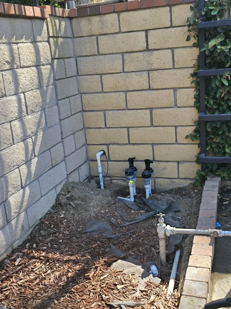 Professional yard cleanup service in Orange, CA by Rock N Block -Turf N Hardscapes