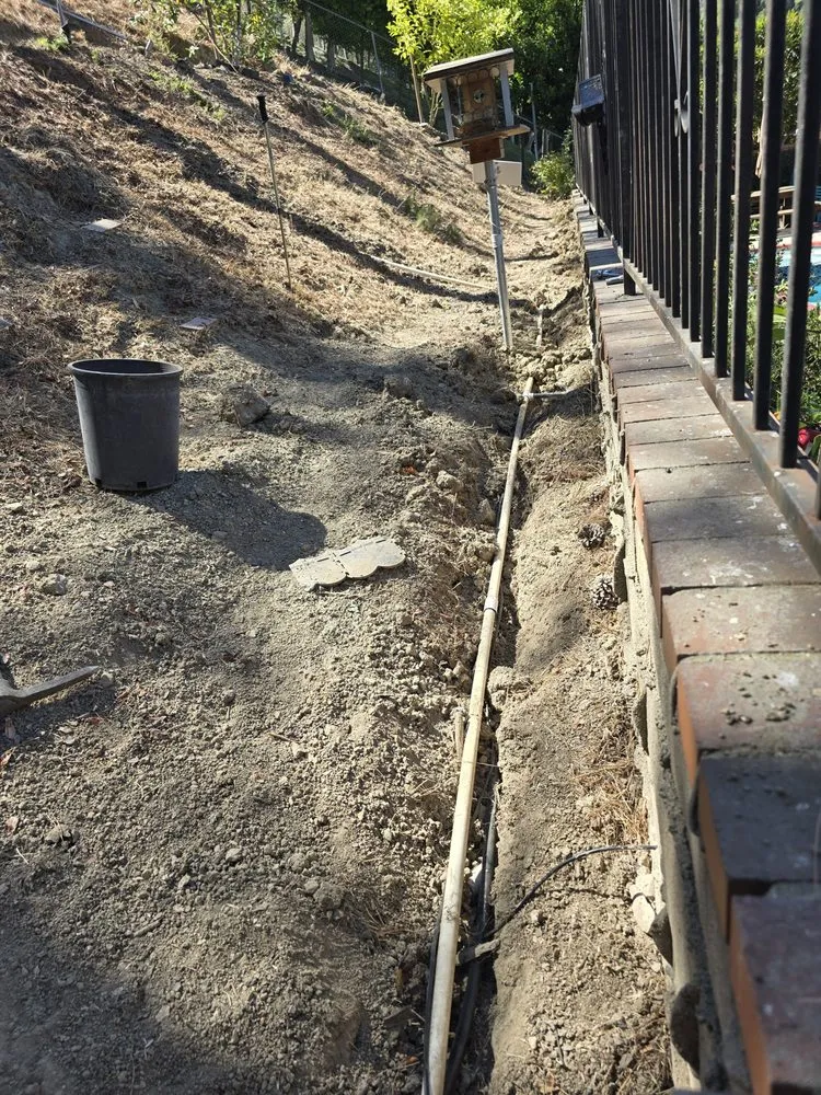 Expert lawn care service in Orange, CA - Rock N Block -Turf N Hardscapes