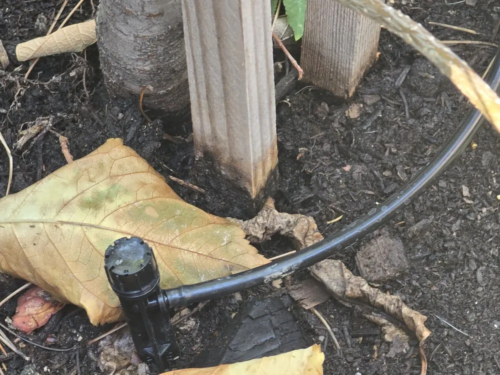 Affordable yard cleanup service in Orange, CA - Rock N Block -Turf N Hardscapes