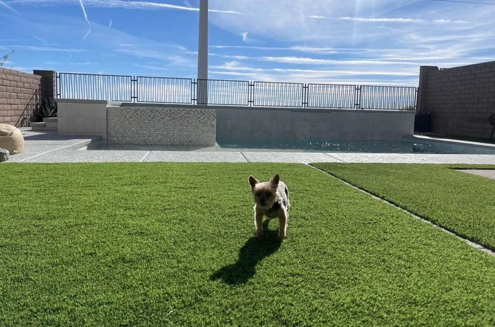 Trusted lawn mowing service in Phoenix, AZ by Rock N Block- Turf N Hardscapes