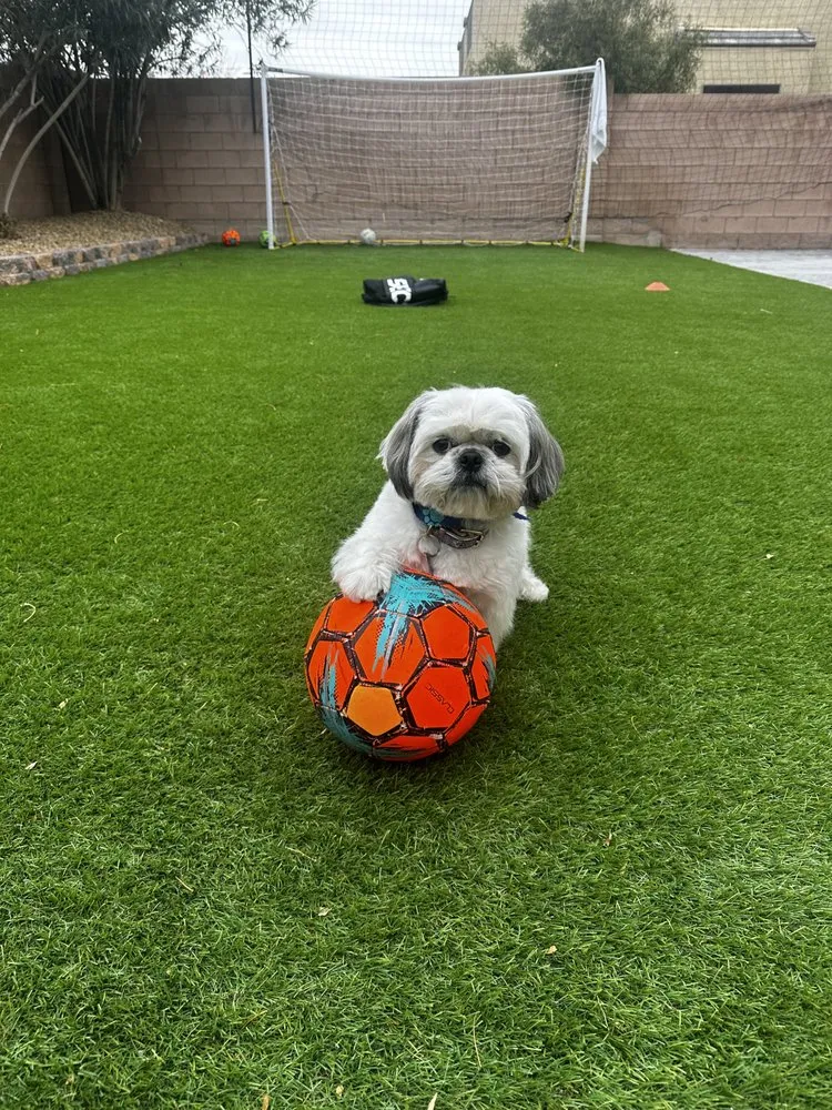 Local garden landscaping in San Diego, CA by Rock N Block- Turf N Hardscapes