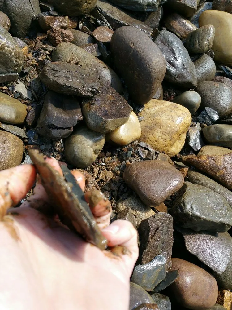 Custom lawn care service for residential properties across Newburgh, NY - Rock N Mulch Tree Farm