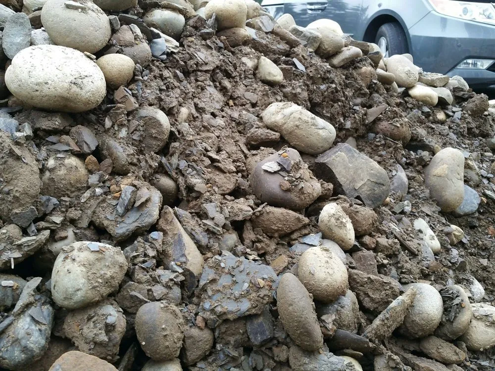 Local outdoor landscaping in Newburgh, NY by Rock N Mulch Tree Farm