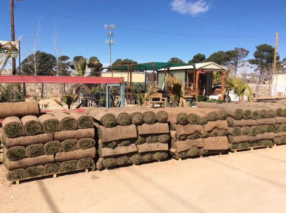 Affordable garden landscaping experts serving El Paso, TX - Rock N Turf