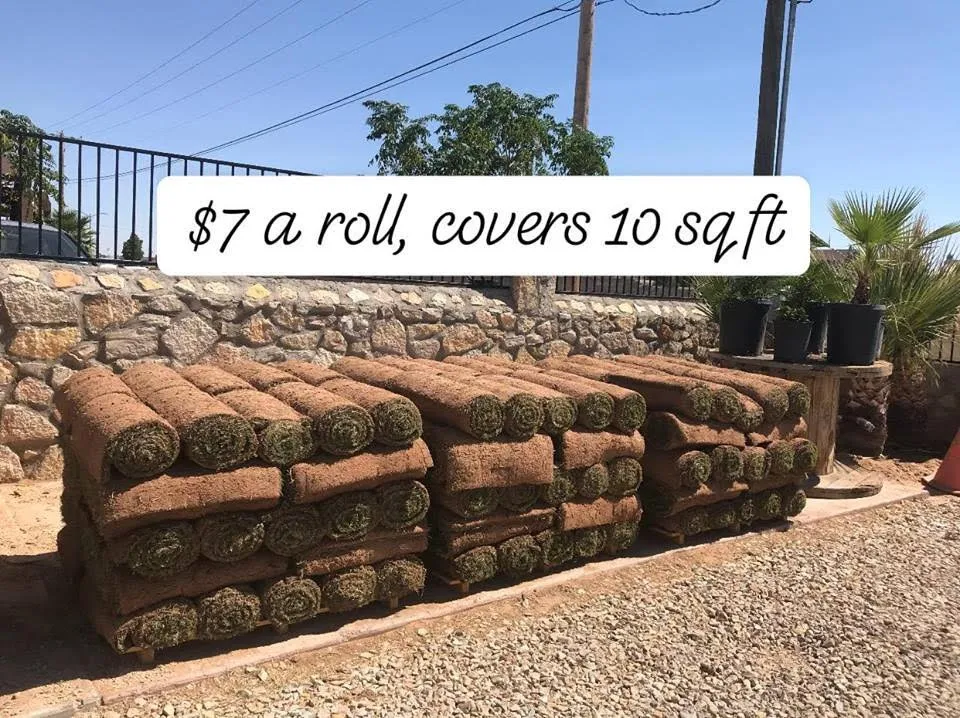 Expert lawn mowing service in El Paso, TX by Rock N Turf