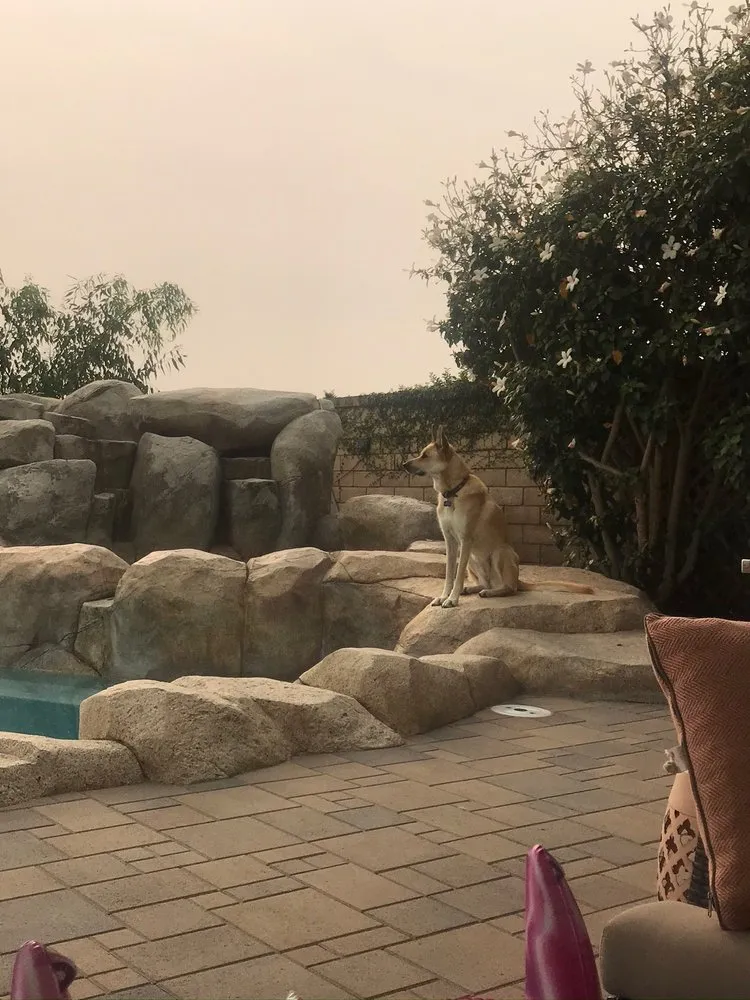 Professional yard maintenance in Corona, CA - Rock of Ages Landscapes and Pools