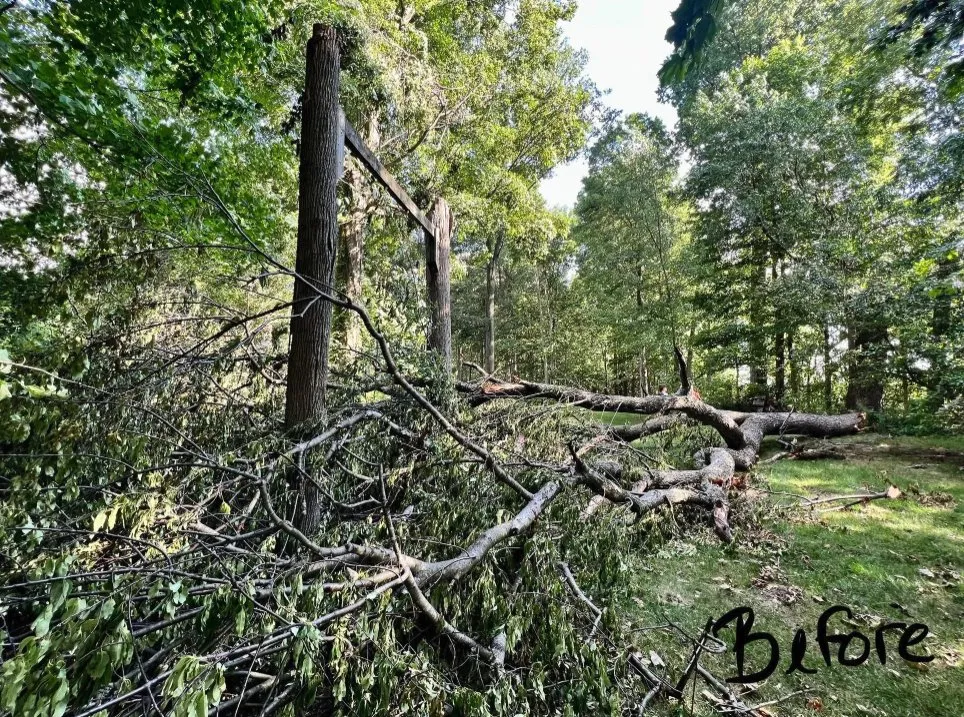 Professional lawn mowing service in Greenfield, IN by Rock On Landscaping