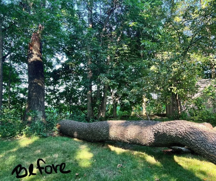 Top-rated outdoor landscaping for beautiful yards in Greenfield, IN by Rock On Landscaping