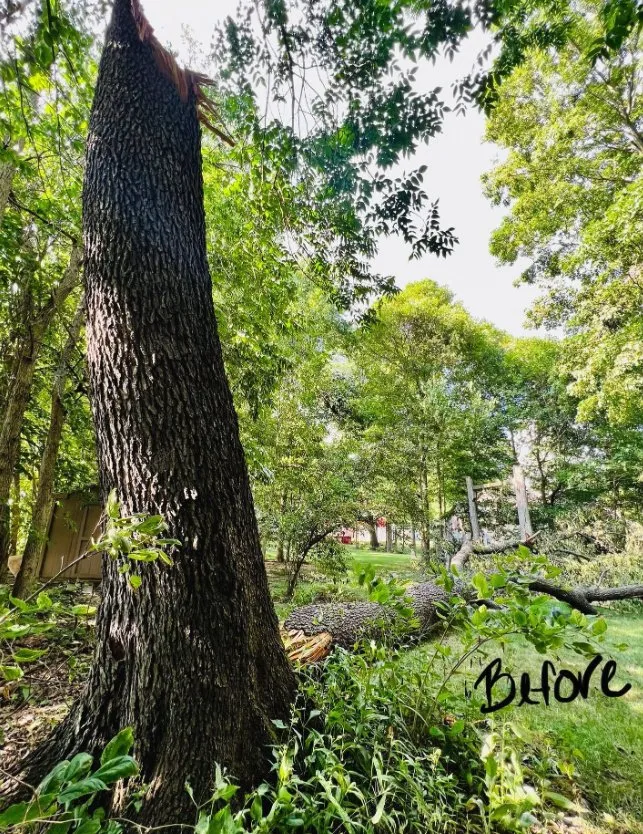 Affordable landscaping services for homes across Greenfield, IN - Rock On Landscaping