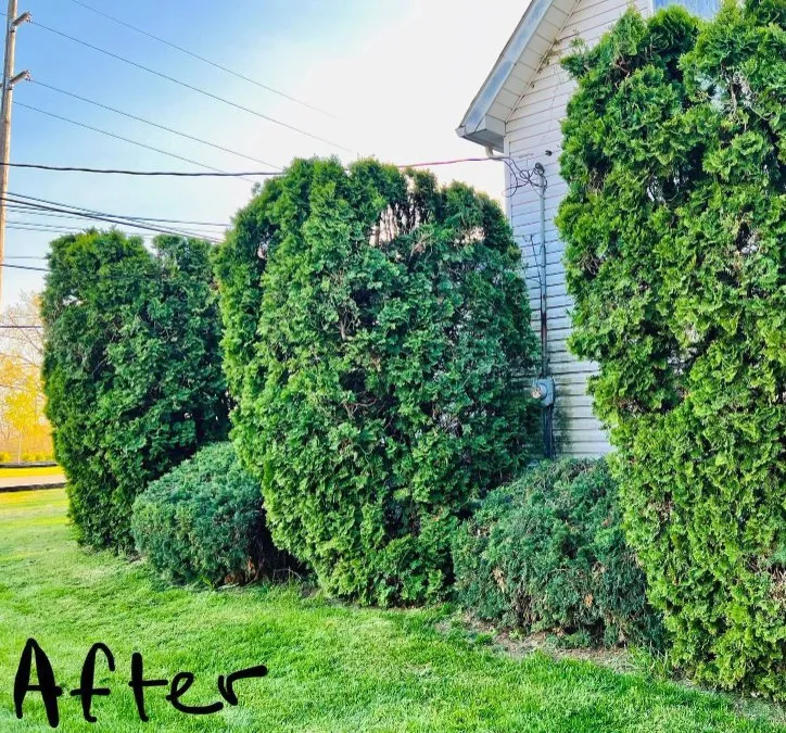 Top-rated landscape installation in Greenfield, IN - Rock On Landscaping