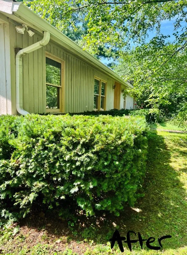 Affordable yard maintenance with custom design in Greenfield, IN by Rock On Landscaping