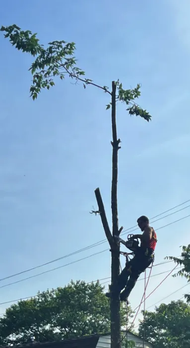 Reliable lawn mowing service in Greenfield, IN by Rock On Landscaping