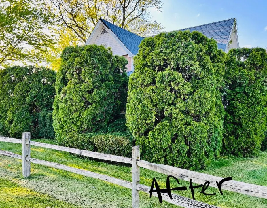 Reliable landscaping services experts serving Greenfield, IN - Rock On Landscaping