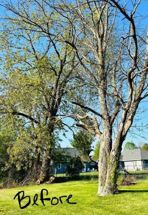 Local landscape design in Greenfield, IN - Rock On Landscaping