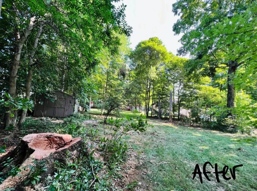 Local landscape design experts serving Greenfield, IN - Rock On Landscaping