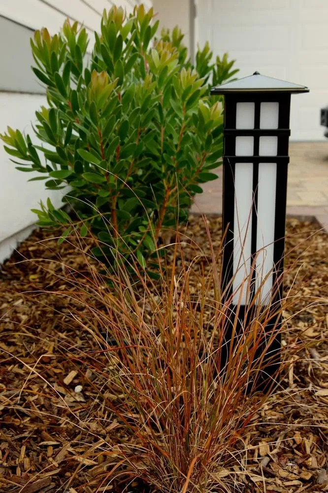 Top-rated residential landscaping in San Carlos, CA by Rock Paper Clippers