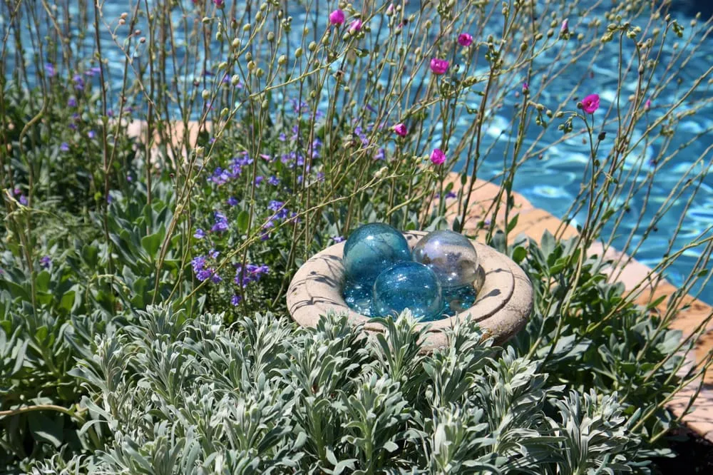 Reliable landscaping services for year-round maintenance in San Carlos, CA by Rock Paper Clippers