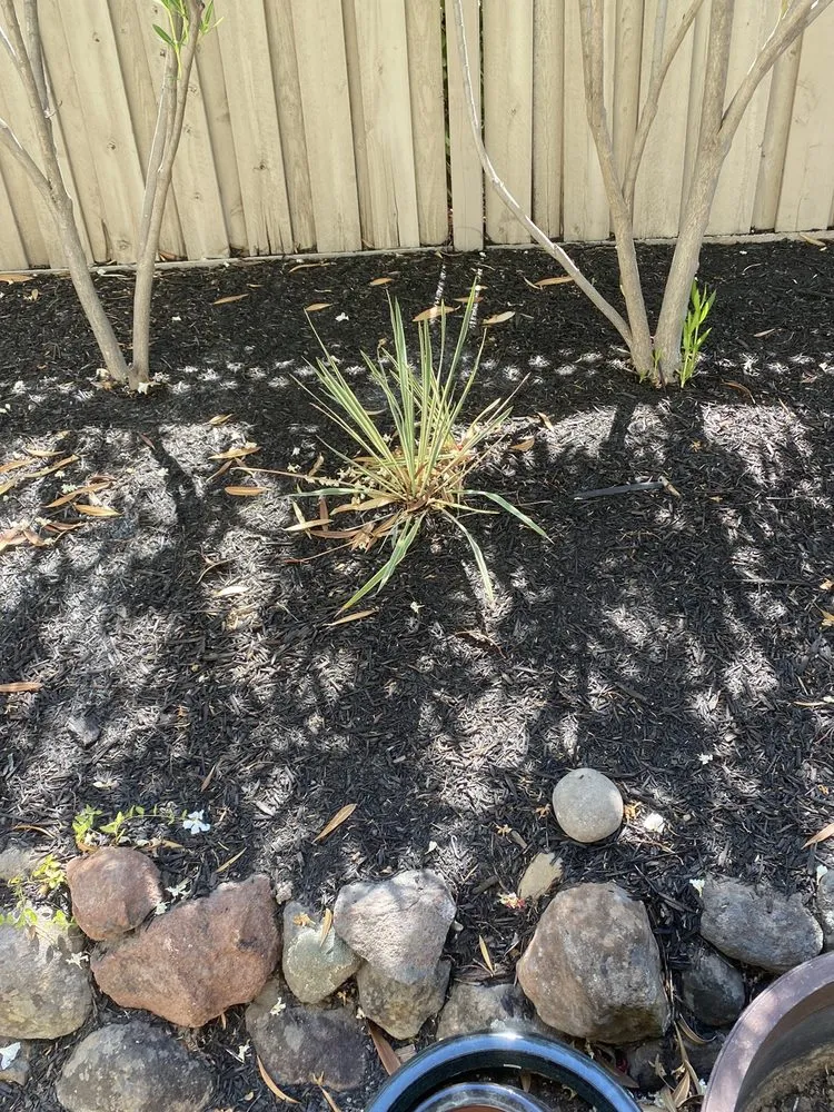 Reliable outdoor landscaping experts serving Lincoln, CA - Rock Pros Landscape Supply