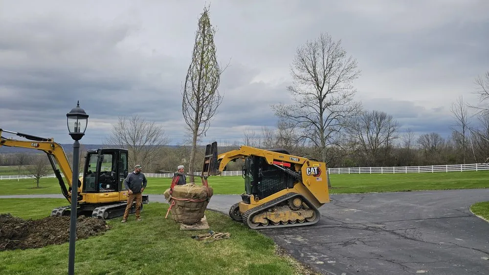 Trusted lawn care service for residential properties in Mount Morris, NY by Rock Ridge Designs