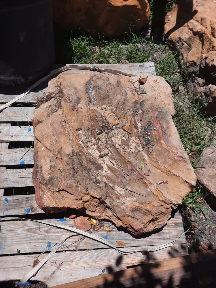 Reliable landscape installation for year-round maintenance in Palmetto, FL by Rock Solid Excavating and Sandstone Design