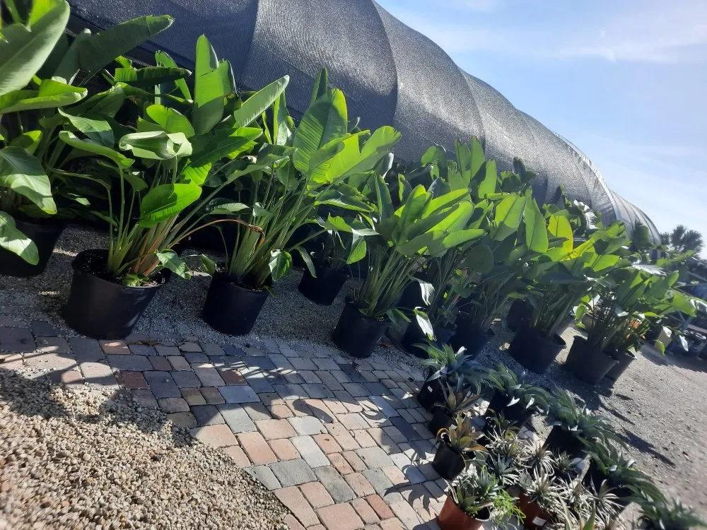 Affordable landscaping services experts serving Palmetto, FL - Rock Solid Excavating and Sandstone Design