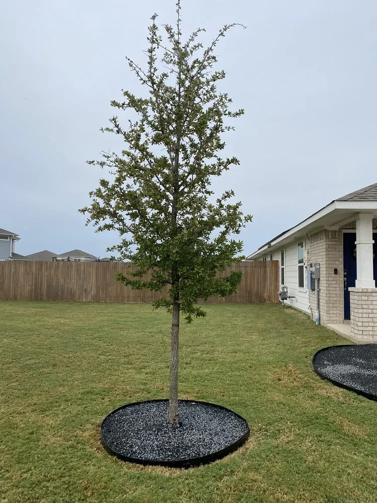 Custom residential landscaping with custom design across Fenton, MI - Rock Solid