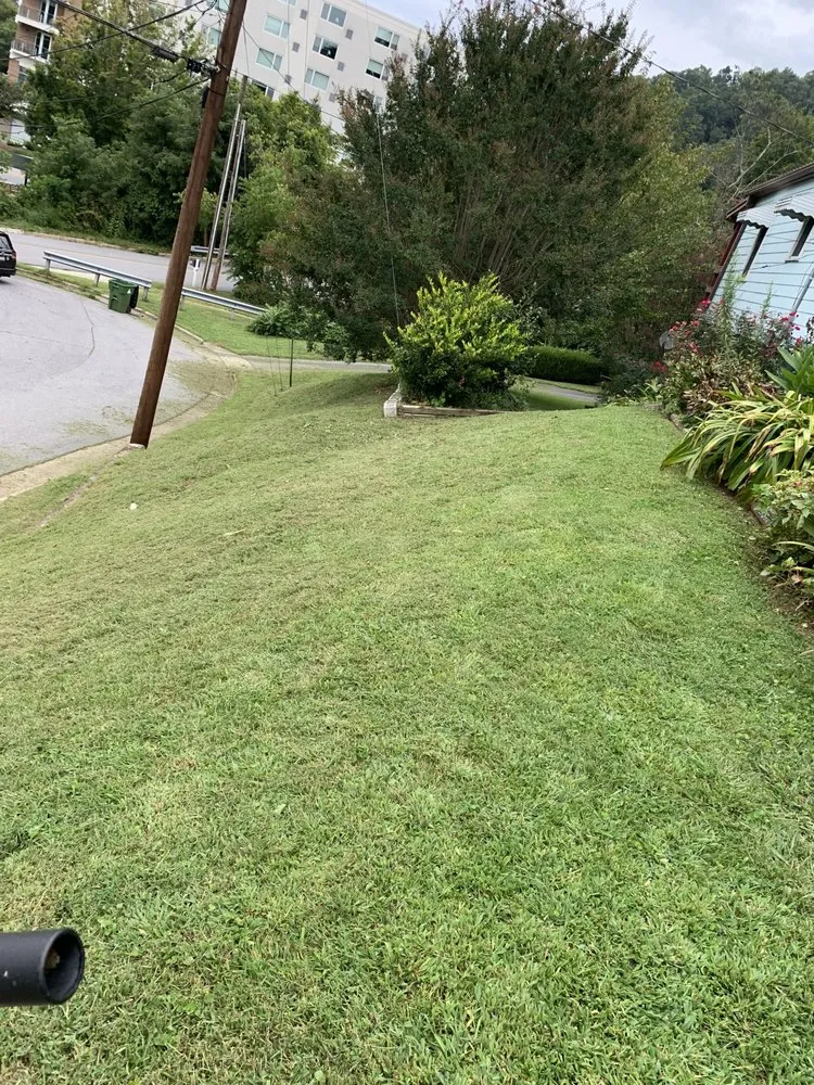 Top-rated residential landscaping for outdoor upgrades across Asheville, NC - Rock Solid Grounds