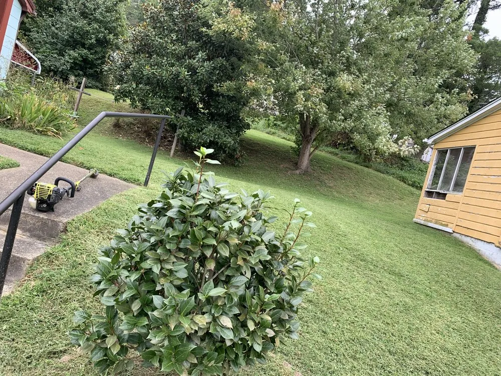 Reliable garden landscaping for outdoor upgrades across Asheville, NC - Rock Solid Grounds