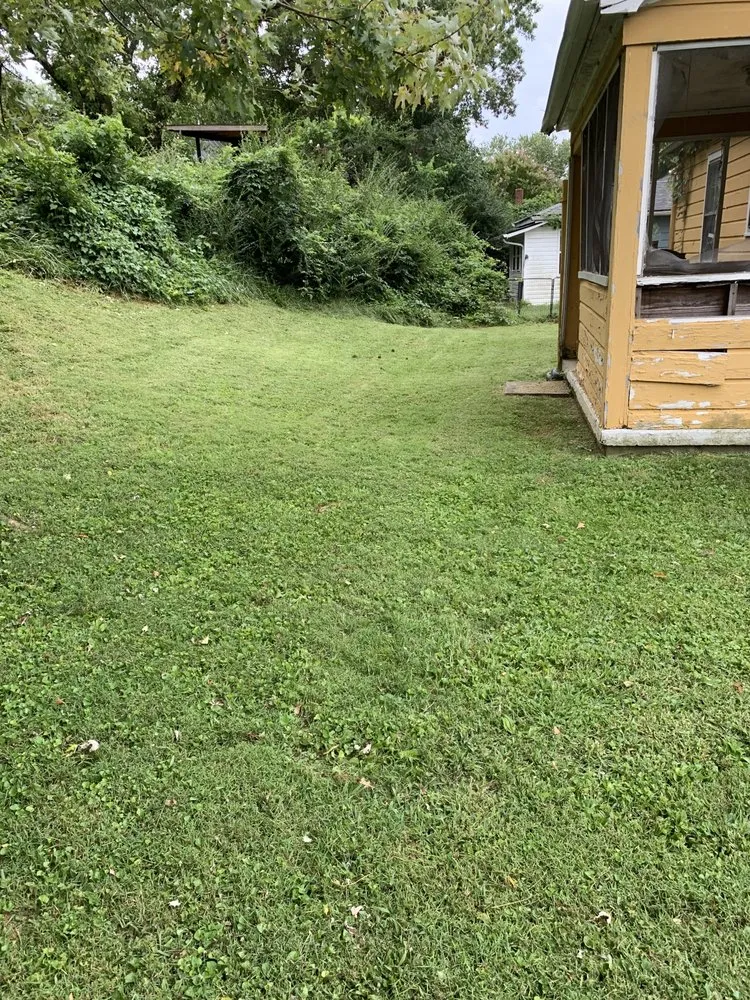 Expert landscaping services in Asheville, NC by Rock Solid Grounds