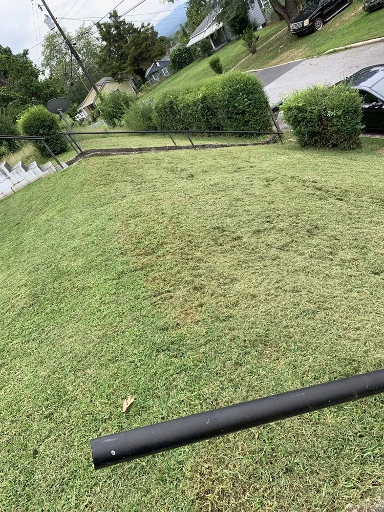 Local residential landscaping in Asheville, NC - Rock Solid Grounds