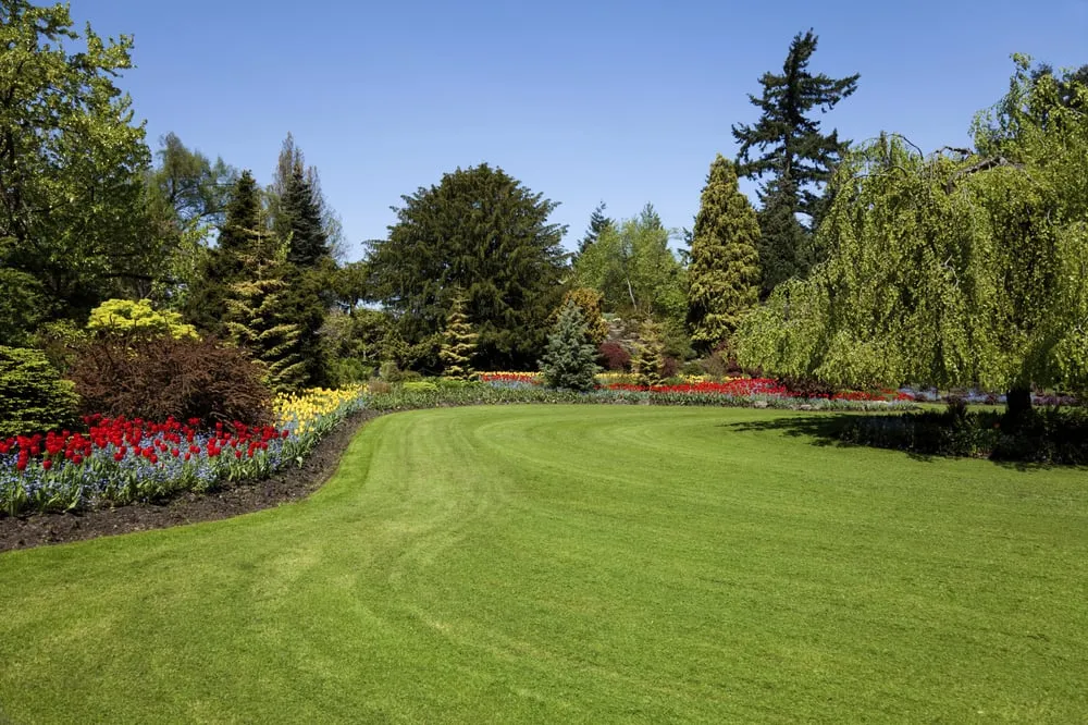 Local landscape design for outdoor upgrades across Andover, MN - Rock Solid Landscape & Irrigation