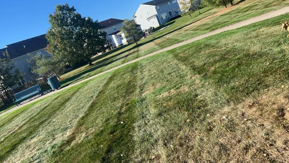 Affordable garden landscaping for beautiful yards across East Lansing, MI - Rock Solid LandScaping & Snow Removal