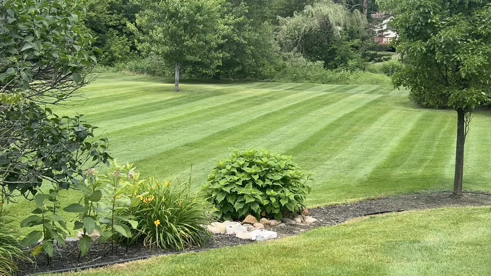 Reliable yard cleanup service in East Lansing, MI - Rock Solid LandScaping & Snow Removal