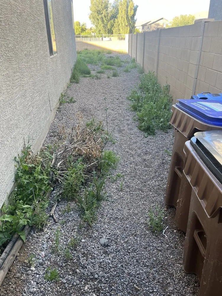 Professional outdoor landscaping for residential properties in Mesa, AZ by Rock Solid Landscaping And Pool