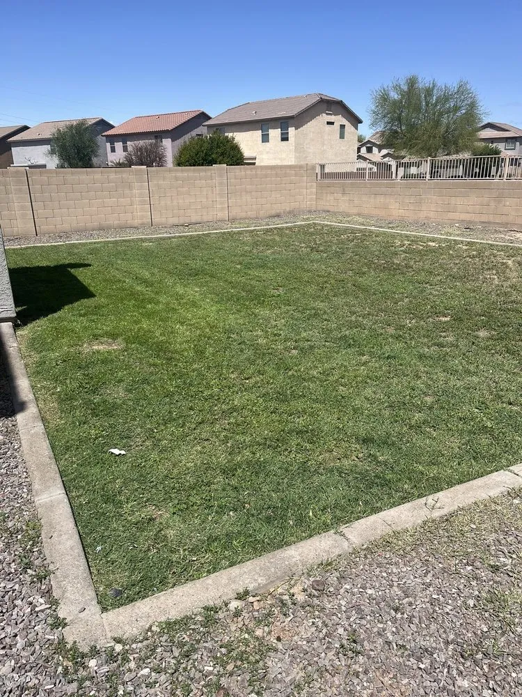 Custom yard cleanup service with custom design across Mesa, AZ - Rock Solid Landscaping And Pool