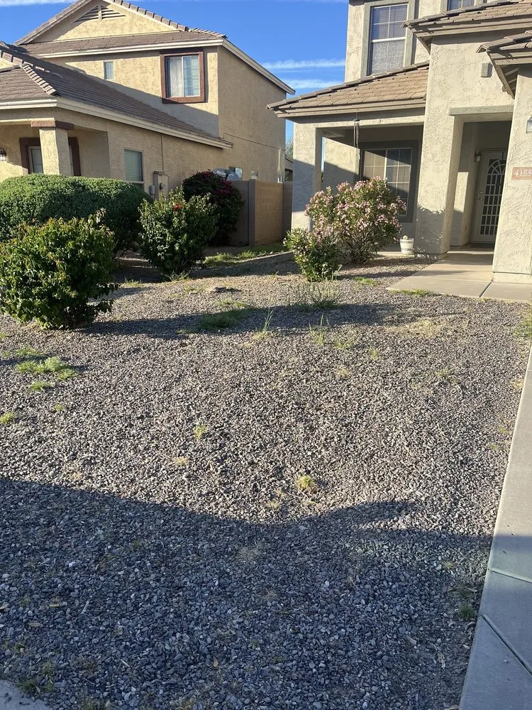 Professional landscaping services in Mesa, AZ - Rock Solid Landscaping And Pool