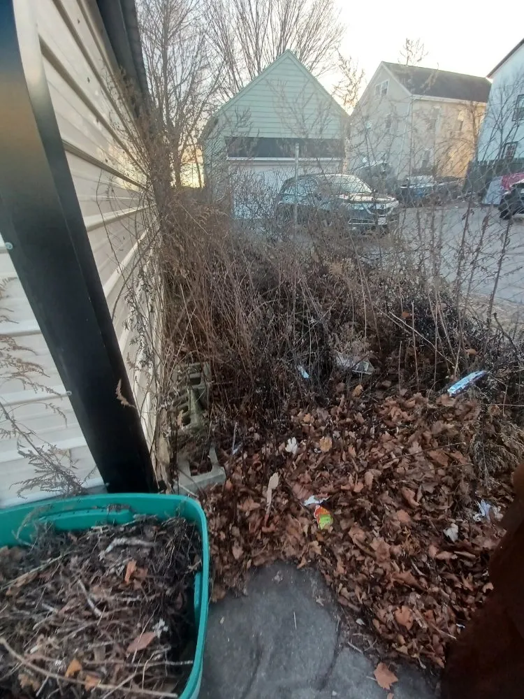 Expert yard maintenance experts serving Fall River, MA - Rock Solid Landscaping Incorporated