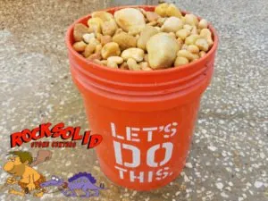 Affordable lawn care service for year-round maintenance in Spring Hill, FL by Rock Solid Stone Center