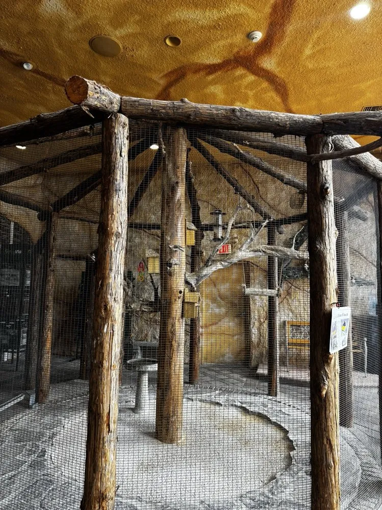 Trusted landscape design for year-round maintenance across Spring Hill, FL - Rock Solid Stone Center