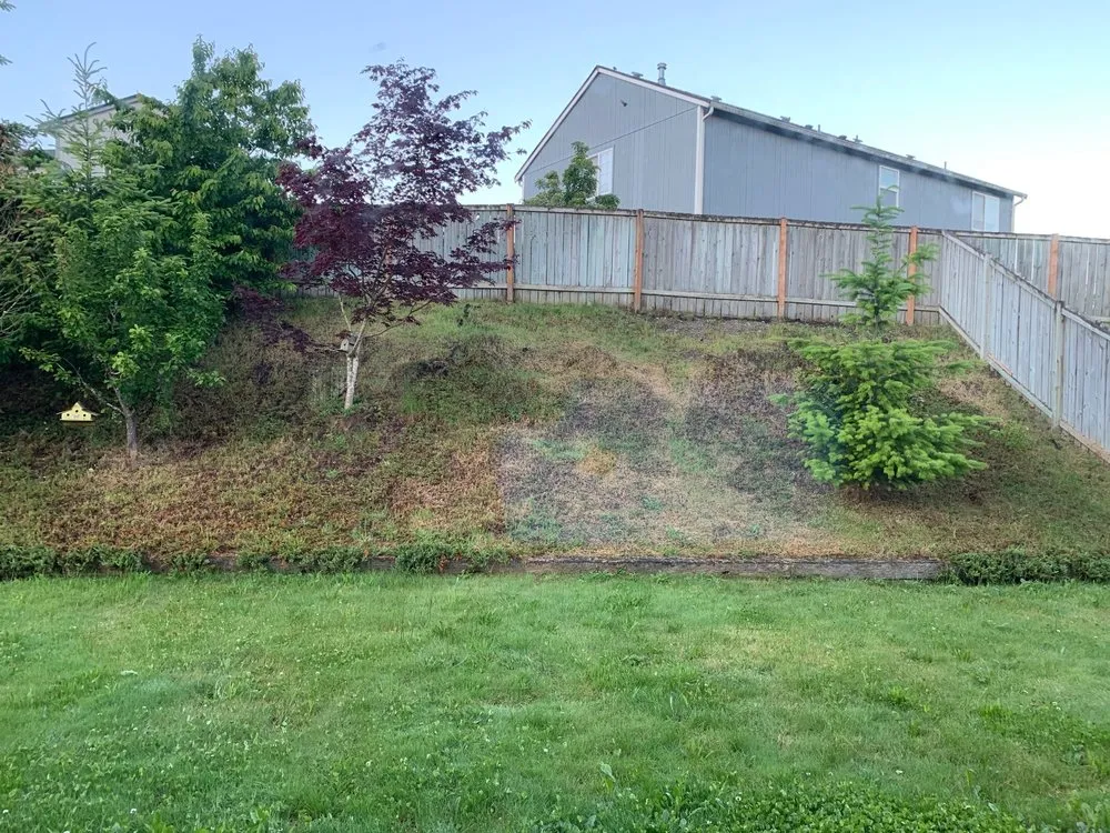 Custom landscape installation in Lacey, WA by Rock Solid Tree & Landscape Services