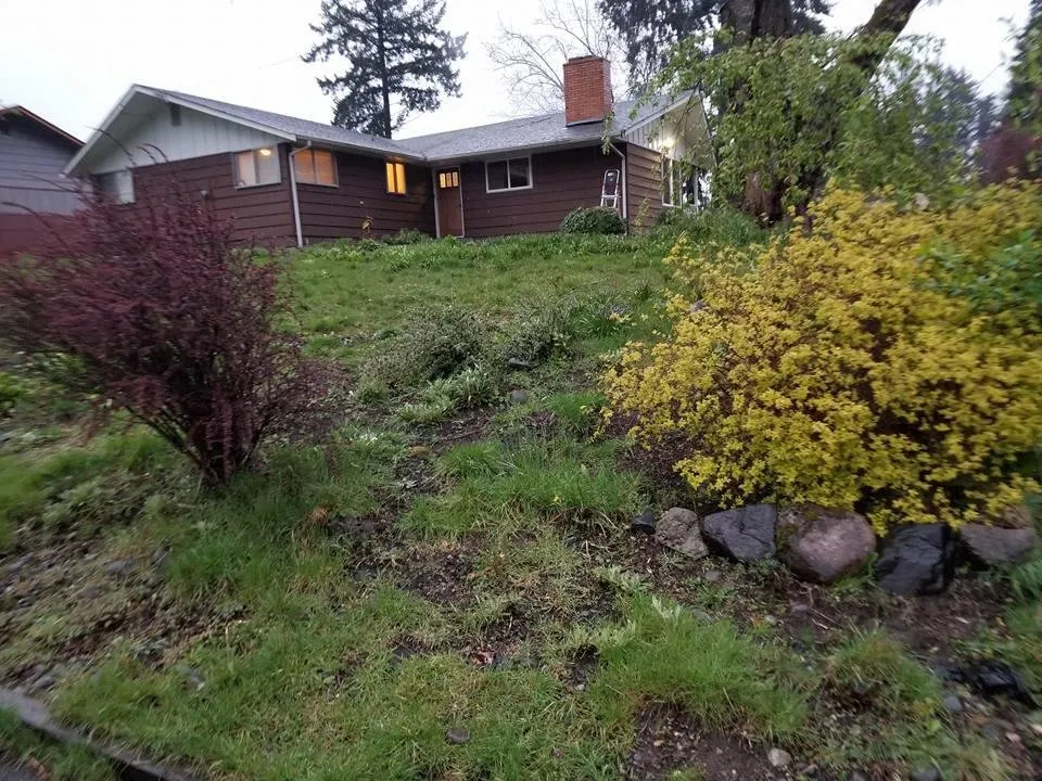 Top-rated lawn care service for outdoor upgrades in Lacey, WA by Rock Solid Tree & Landscape Services