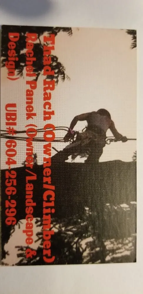 Custom landscaping services for outdoor upgrades across Lacey, WA - Rock Solid Tree & Landscape Services