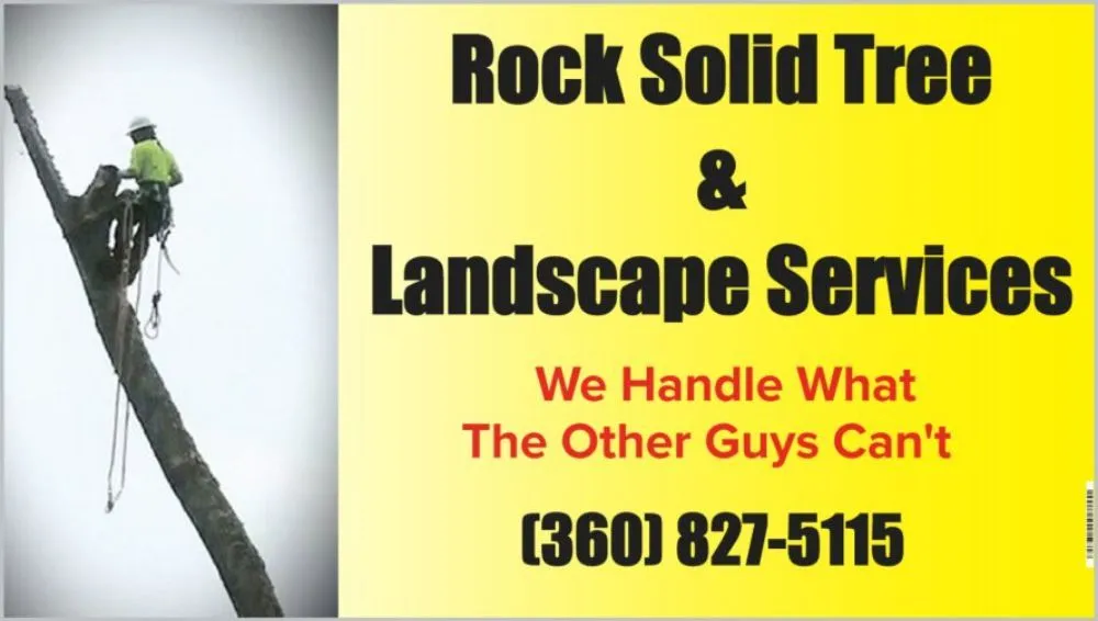 Custom yard maintenance near you across Lacey, WA - Rock Solid Tree & Landscape Services