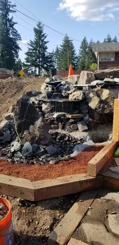 Trusted yard maintenance in Lacey, WA - Rock Solid Tree & Landscape Services