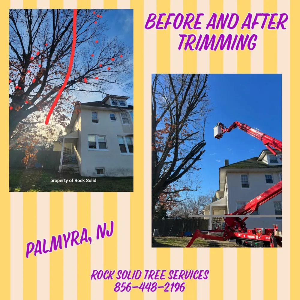 Expert outdoor landscaping experts serving Palmyra, NJ - Rock Solid Tree Services and More
