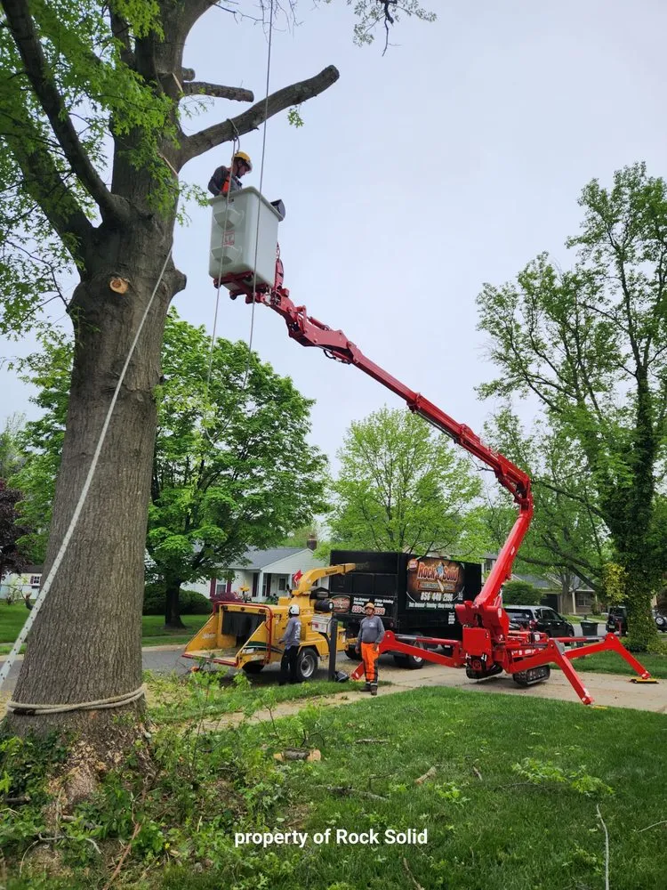 Trusted yard cleanup service with custom design in Palmyra, NJ by Rock Solid Tree Services and More